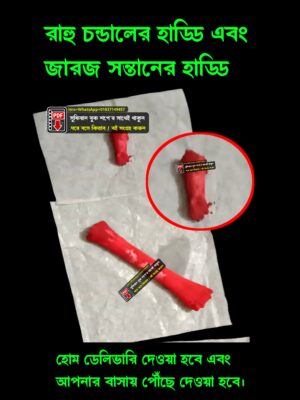জারজের হাড় অভিশপ্ত জারজের হাড্ডি