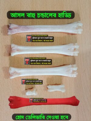আসল রাহু চন্ডালের হাড্ডি অভিশপ্ত হাড়