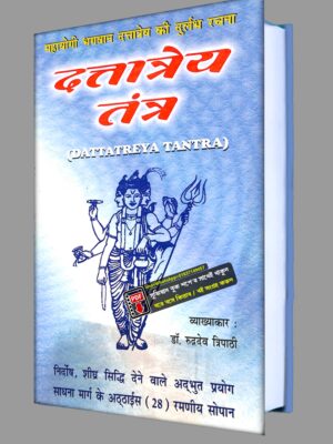 হিন্দি ভাষায় বিদ্যমান दत्तात्रेय तंत्र pdf বই