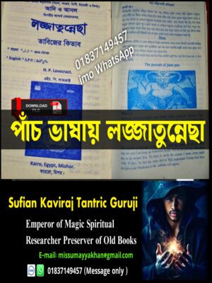 পাঁচ ভাষায় লজ্জাতুন্নেছা 916, পৃষ্ঠা কিতাব PDF বই