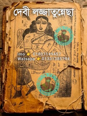 দেবী লজ্জাতুন্নেছা খাতা ডায়েরি কবিরাজি PDF বই
