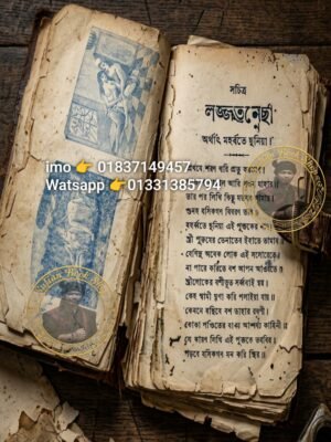 ২০২৬০৬০৩_১৩৪৩৪৪ সচিত্র লজ্জাতুন্নেছা অর্থাৎ মহব্বতে দুনিয়া PDF বই